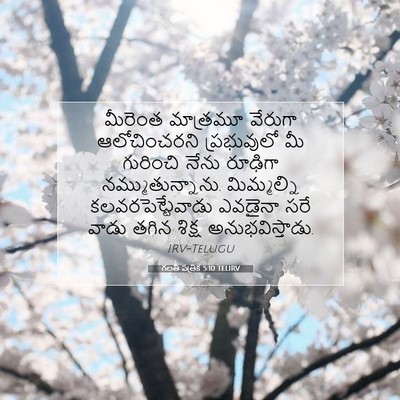 Picture 07 - గలతీ పత్రిక 5:10 TELIRV - మీరెంత మాత్రమూ - Bible Verse Picture