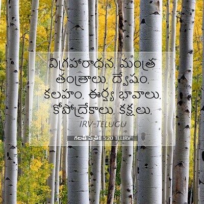 Picture 07 - గలతీ పత్రిక 5:20 TELIRV - విగ్రహారాధన, - Bible Verse Picture