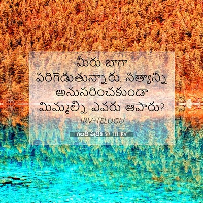 Picture 07 - గలతీ పత్రిక 5:7 TELIRV - మీరు బాగా - Bible Verse Picture