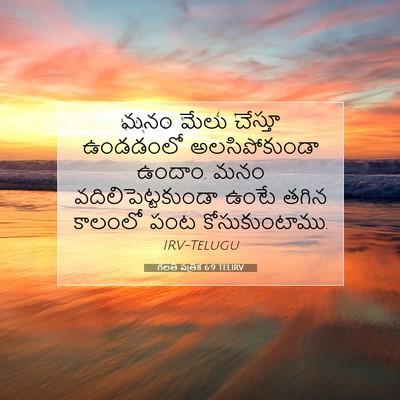Picture 07 - గలతీ పత్రిక 6:9 TELIRV - మనం మేలు చేస్తూ - Bible Verse Picture