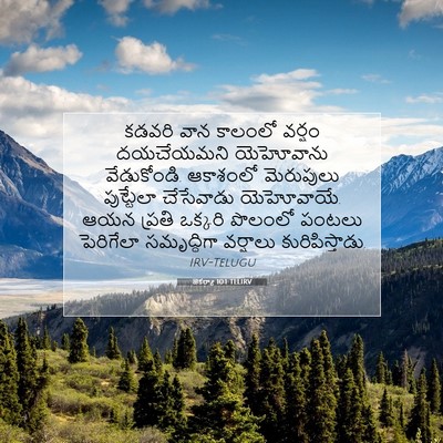 Picture 07 - జెకర్యా 10:1 TELIRV - కడవరి వాన కాలంలో - Bible Verse Picture