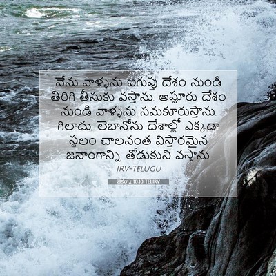 Picture 07 - జెకర్యా 10:10 TELIRV - నేను వాళ్ళను - Bible Verse Picture