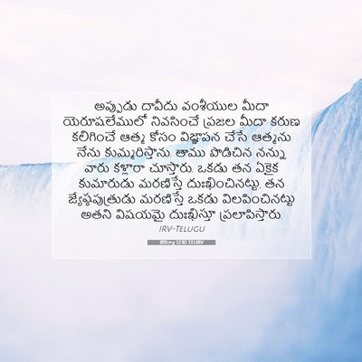 Picture 07 - జెకర్యా 12:10 TELIRV - అప్పుడు దావీదు - Bible Verse Picture