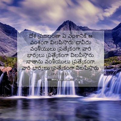 Picture 07 - జెకర్యా 12:12 TELIRV - దేశ ప్రజలంతా ఏ - Bible Verse Picture