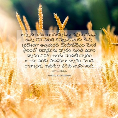 Picture 07 - జెకర్యా 14:10 TELIRV - అప్పుడు దేశం - Bible Verse Picture
