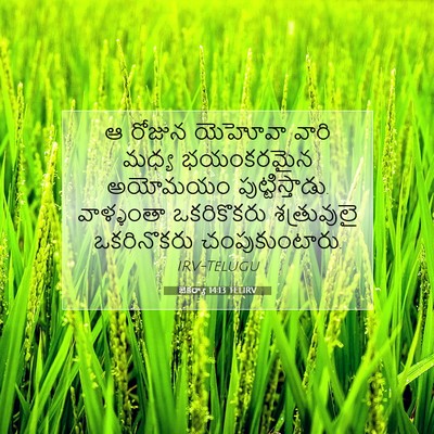 Picture 07 - జెకర్యా 14:13 TELIRV - ఆ రోజున యెహోవా - Bible Verse Picture