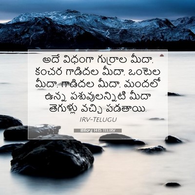 Picture 07 - జెకర్యా 14:15 TELIRV - అదే విధంగా - Bible Verse Picture