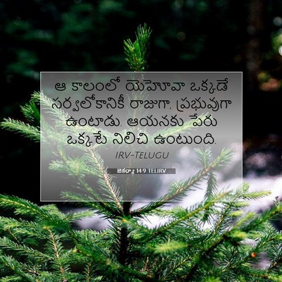 Picture 07 - జెకర్యా 14:9 TELIRV - ఆ కాలంలో యెహోవా - Bible Verse Picture