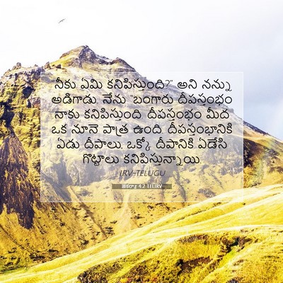 Picture 07 - జెకర్యా 4:2 TELIRV - “నీకు ఏమి - Bible Verse Picture