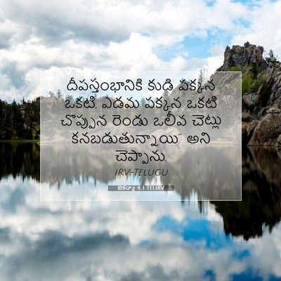 Picture 07 - జెకర్యా 4:3 TELIRV - దీపస్తంభానికి - Bible Verse Picture