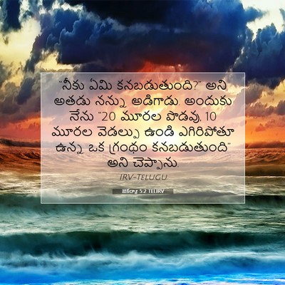 Picture 07 - జెకర్యా 5:2 TELIRV - “నీకు ఏమి - Bible Verse Picture