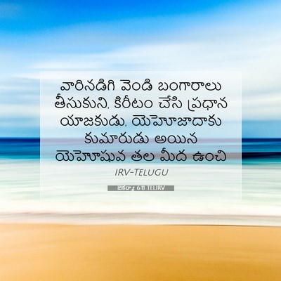 Picture 07 - జెకర్యా 6:11 TELIRV - వారినడిగి వెండి - Bible Verse Picture