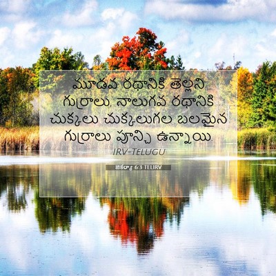 Picture 07 - జెకర్యా 6:3 TELIRV - మూడవ రథానికి - Bible Verse Picture