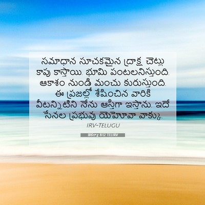 Picture 07 - జెకర్యా 8:12 TELIRV - సమాధాన సూచకమైన - Bible Verse Picture