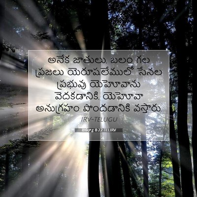 Picture 07 - జెకర్యా 8:22 TELIRV - అనేక జాతులు, బలం గల - Bible Verse Picture