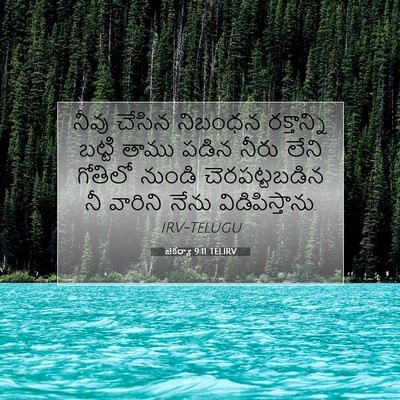 Picture 07 - జెకర్యా 9:11 TELIRV - నీవు చేసిన నిబంధన - Bible Verse Picture