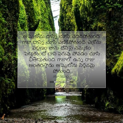 Picture 07 - జెకర్యా 9:5 TELIRV - అష్కెలోను దాన్ని - Bible Verse Picture
