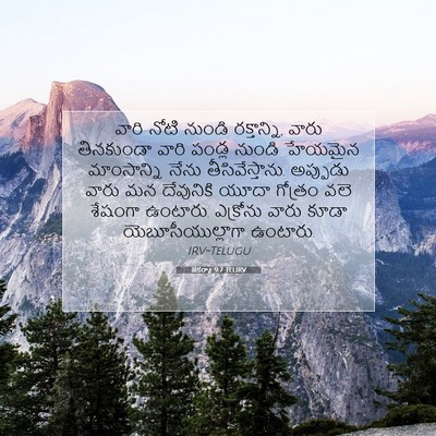 Picture 07 - జెకర్యా 9:7 TELIRV - వారి నోటి నుండి - Bible Verse Picture