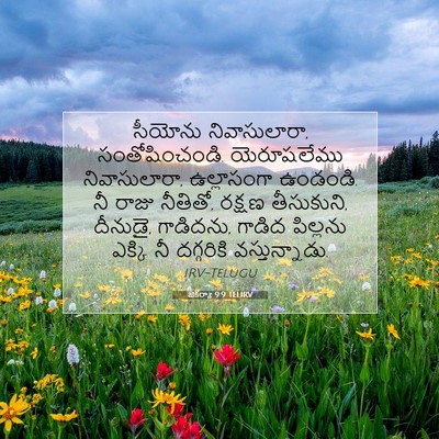 Picture 07 - జెకర్యా 9:9 TELIRV - సీయోను - Bible Verse Picture