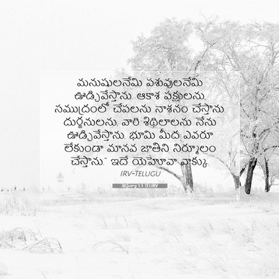 Picture 07 - జెఫన్యా 1:3 TELIRV - మనుషులనేమి - Bible Verse Picture