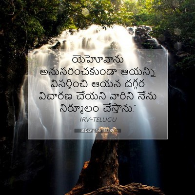 Picture 07 - జెఫన్యా 1:6 TELIRV - యెహోవాను - Bible Verse Picture