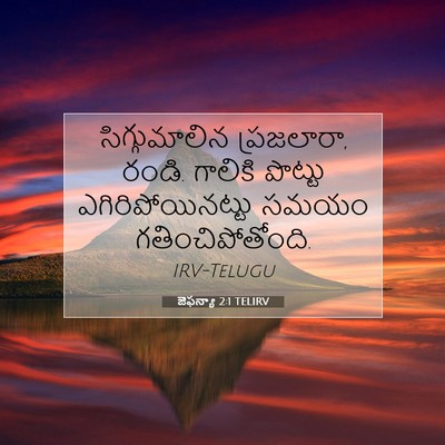 Picture 07 - జెఫన్యా 2:1 TELIRV - సిగ్గుమాలిన - Bible Verse Picture