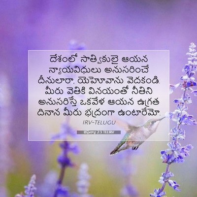 Picture 07 - జెఫన్యా 2:3 TELIRV - దేశంలో సాత్వికులై - Bible Verse Picture