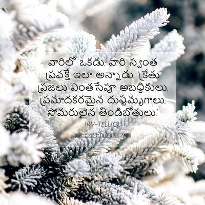 Picture 07 - తీతు పత్రిక 1:12 TELIRV - వారిలో ఒకడు, వారి - Bible Verse Picture