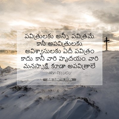 Picture 07 - తీతు పత్రిక 1:15 TELIRV - పవిత్రులకు అన్నీ - Bible Verse Picture