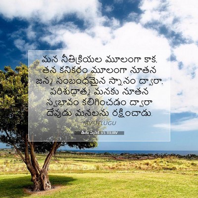 Picture 07 - తీతు పత్రిక 3:5 TELIRV - మన నీతిక్రియల - Bible Verse Picture