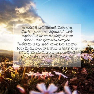 Picture 07 - దానియేలు 1:10 TELIRV - ఆ అధిపతి - Bible Verse Picture