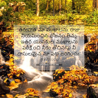 Picture 07 - దానియేలు 1:13 TELIRV - తరువాత మా ముఖాలను, - Bible Verse Picture