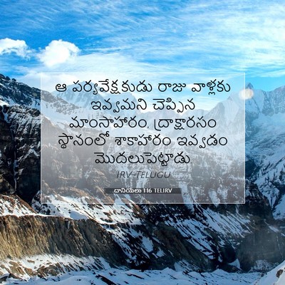 Picture 07 - దానియేలు 1:16 TELIRV - ఆ పర్యవేక్షకుడు - Bible Verse Picture