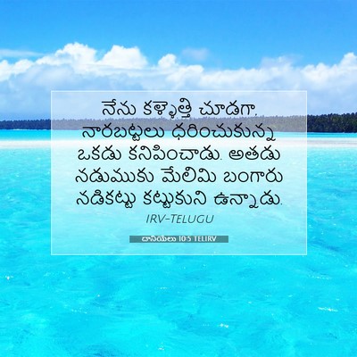 Picture 07 - దానియేలు 10:5 TELIRV - నేను కళ్ళెత్తి - Bible Verse Picture