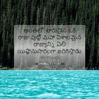 Picture 07 - దానియేలు 11:3 TELIRV - అంతలో శూరుడైన ఒక - Bible Verse Picture