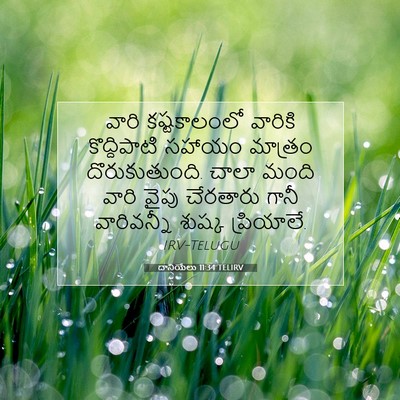 Picture 07 - దానియేలు 11:34 TELIRV - వారి కష్టకాలంలో - Bible Verse Picture