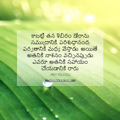 Picture 07 - దానియేలు 11:45 TELIRV - కాబట్టి తన శిబిరం - Bible Verse Picture