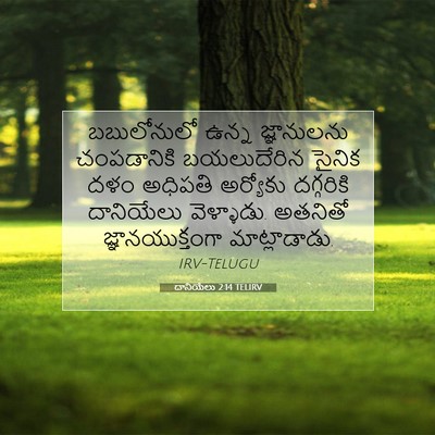 Picture 07 - దానియేలు 2:14 TELIRV - బబులోనులో ఉన్న - Bible Verse Picture