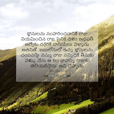 Picture 07 - దానియేలు 2:24 TELIRV - జ్ఞానులను - Bible Verse Picture