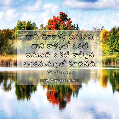 Picture 07 - దానియేలు 2:33 TELIRV - దాని మోకాళ్లు - Bible Verse Picture