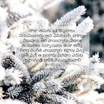 Picture 07 - దానియేలు 3:10 TELIRV - రాజా, తమరు ఒక - Bible Verse Picture