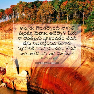 Picture 07 - దానియేలు 3:14 TELIRV - అప్పుడు - Bible Verse Picture