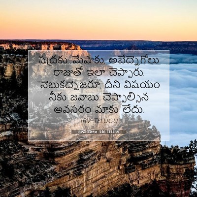 Picture 07 - దానియేలు 3:16 TELIRV - షద్రకు, మేషాకు, - Bible Verse Picture