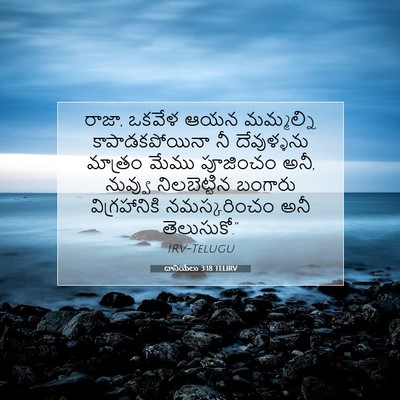 Picture 07 - దానియేలు 3:18 TELIRV - రాజా, ఒకవేళ ఆయన - Bible Verse Picture