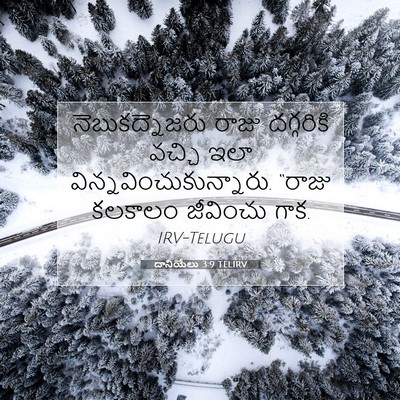 Picture 07 - దానియేలు 3:9 TELIRV - నెబుకద్నెజరు రాజు - Bible Verse Picture