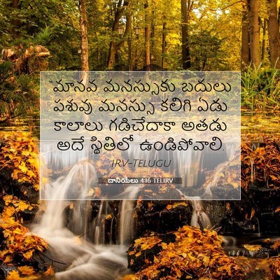 Picture 07 - దానియేలు 4:16 TELIRV - “మానవ మనస్సుకు - Bible Verse Picture