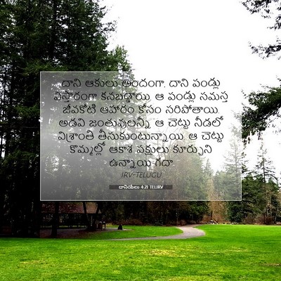Picture 07 - దానియేలు 4:21 TELIRV - దాని ఆకులు అందంగా, - Bible Verse Picture