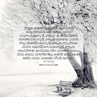 Picture 07 - దానియేలు 5:19 TELIRV - దేవుడు అతనికి - Bible Verse Picture