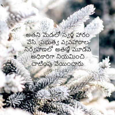 Picture 07 - దానియేలు 5:29 TELIRV - అతని మెడలో స్వర్ణ - Bible Verse Picture