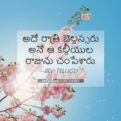 Picture 07 - దానియేలు 5:30 TELIRV - అదే రాత్రి - Bible Verse Picture